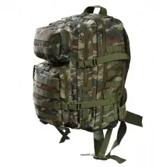 Τσάντα Πλάτης Assault 45L Survivors