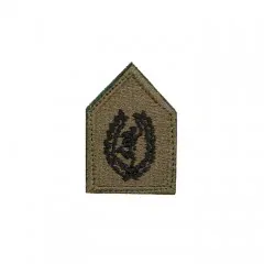 Σήμα Πέτου Οπλόσημα Στολής