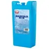Παγοκύστη  Igloo Ice Block Large 850gr