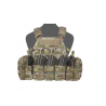 Plate Carrier AK Multicam Warrior Assault