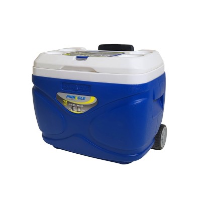Ψυγείο Prudence 30L Roller Pinnacle
