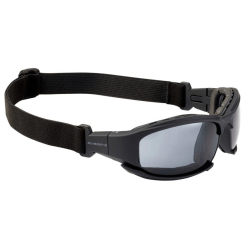 Protection Goggles Guardian Swiss Eye